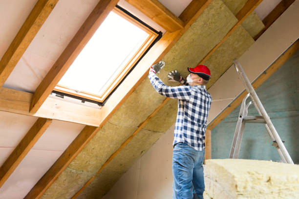 Best Eco-Friendly or Green Insulation Solutions  in USA